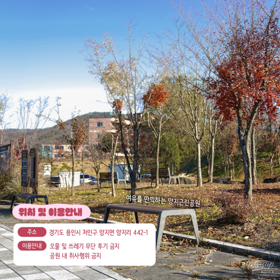 Exploring Yangji Neighborhood Park_05