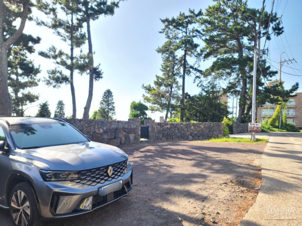 Exploring Jeju's Black Pig: A Culinary Delight_05