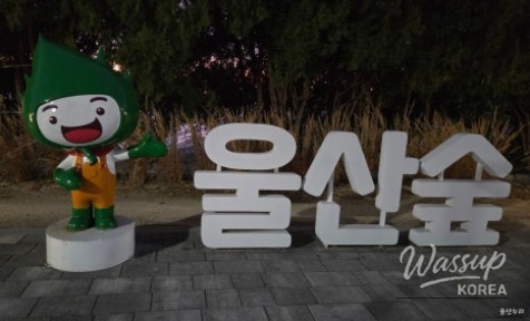 Nostalgia at Hogye Station_09