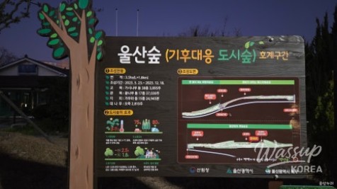 Nostalgia at Hogye Station_10