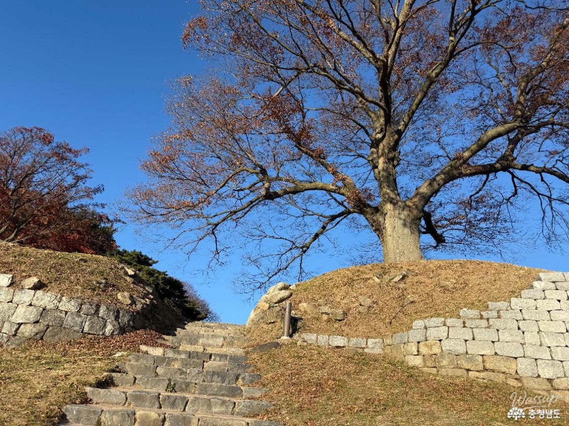 A Romantic Journey to Seonghungsan Love Tree_09