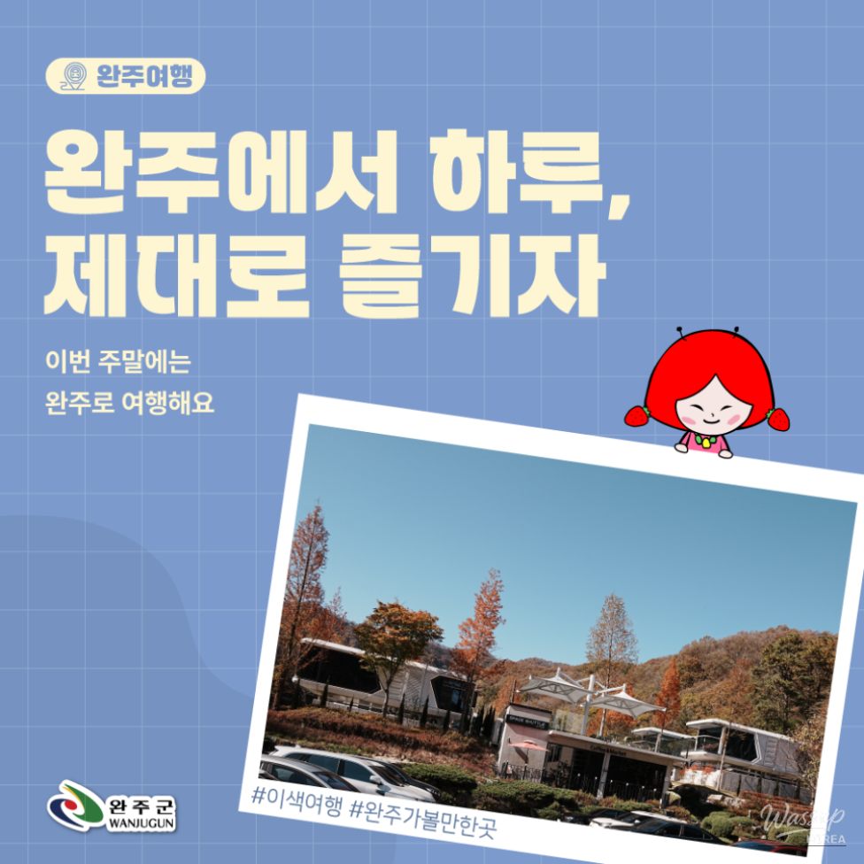 The unique silver exterior of the Space Shuttle Pension nestled in the lush cypress forest of Wanju