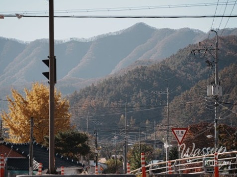 A cozy indoor view of Adlib Café featuring warm lighting, plants, and holiday decorations