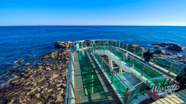 Winter Wonders: Exploring Yangyang's Coastal Charms_03