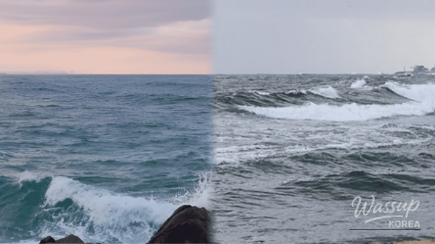 Winter Wonders: Exploring Yangyang's Coastal Charms_01