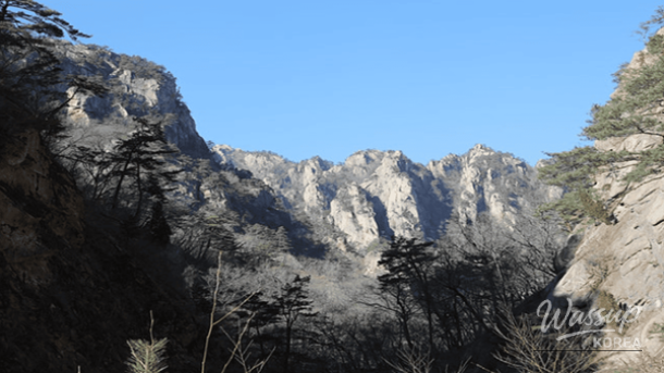 Winter Wonders: Exploring Yangyang's Coastal Charms_05