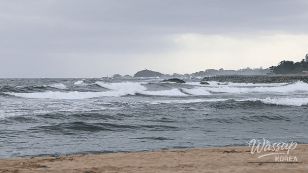 Winter Wonders: Exploring Yangyang's Coastal Charms_04