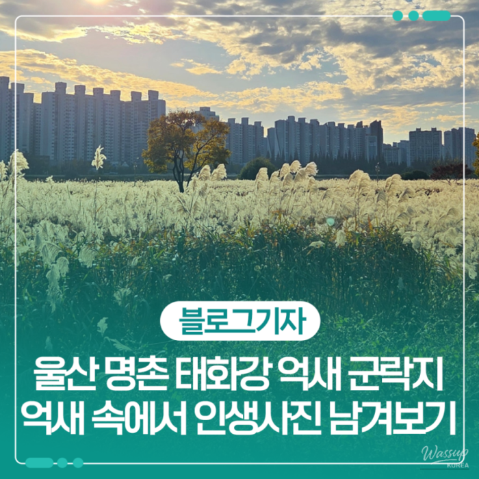 The Romance of Late Autumn and Early Winter_01