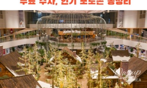 Top 5 Christmas Light Festivals in Busan_08