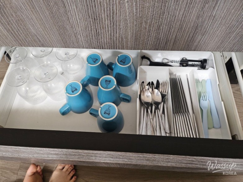 Family Trip to Osaka, Japan_17