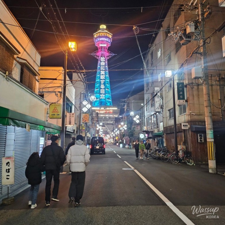 Family Trip to Osaka, Japan_18