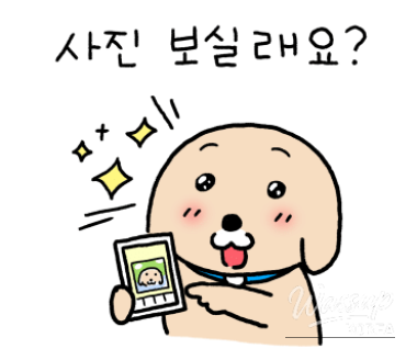 Family Trip to Osaka, Japan_27