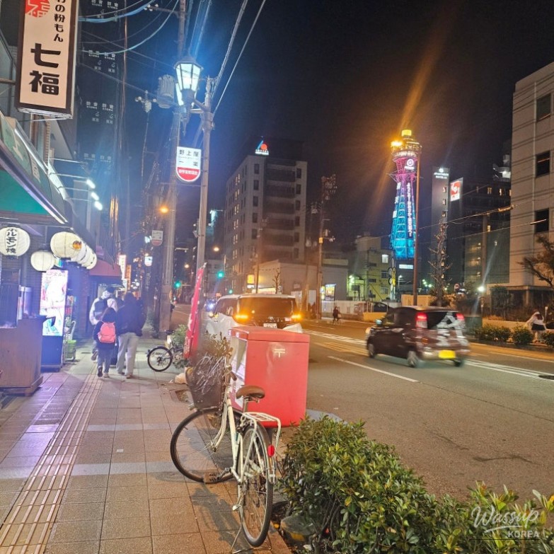 Family Trip to Osaka, Japan_09