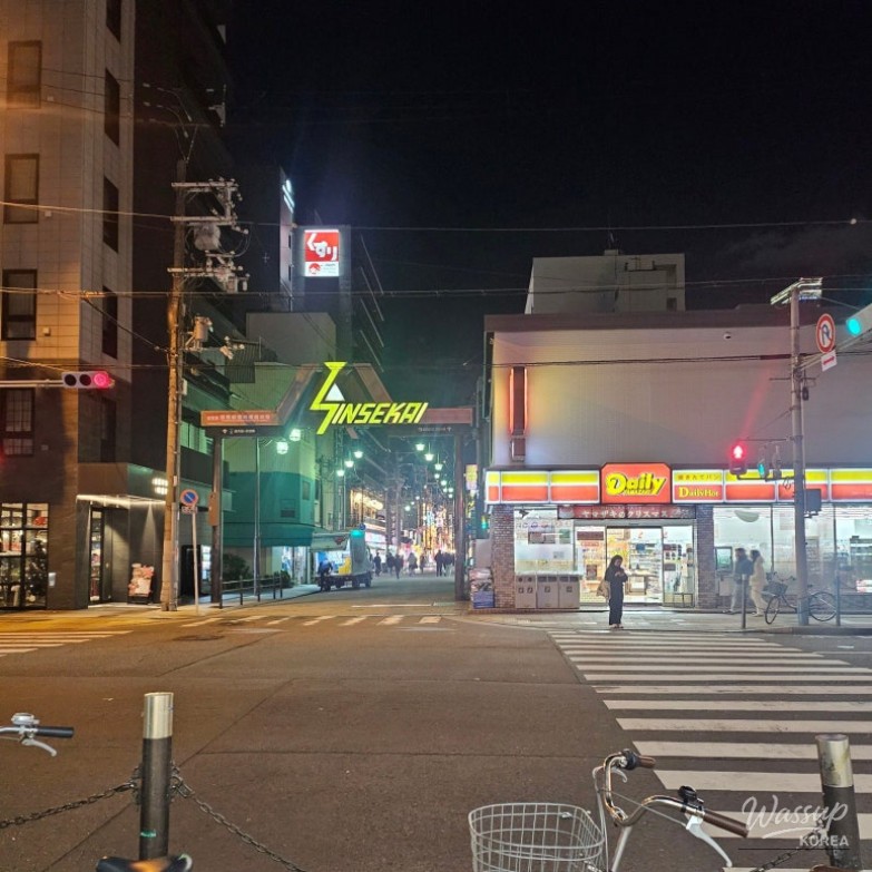 Family Trip to Osaka, Japan_10