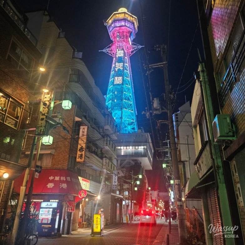 Family Trip to Osaka, Japan_11