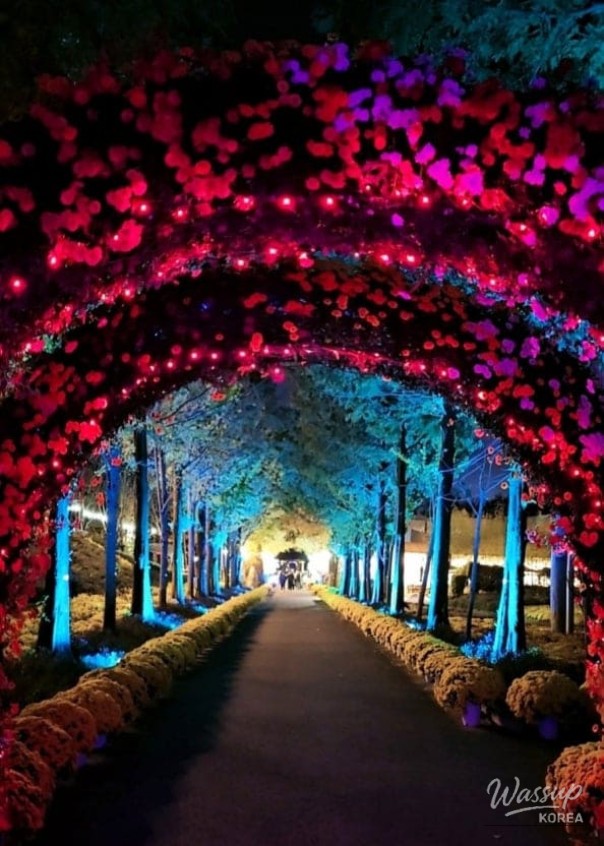 A Romantic Winter Escape at Pinnacle Land_02