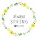 Celebrating with Always Spring Cakes_07