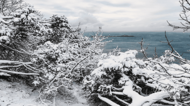 Exploring the Beauty of Jeju Island: A 4-Day Itinerary_05