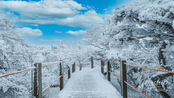 Exploring the Beauty of Jeju Island: A 4-Day Itinerary_02