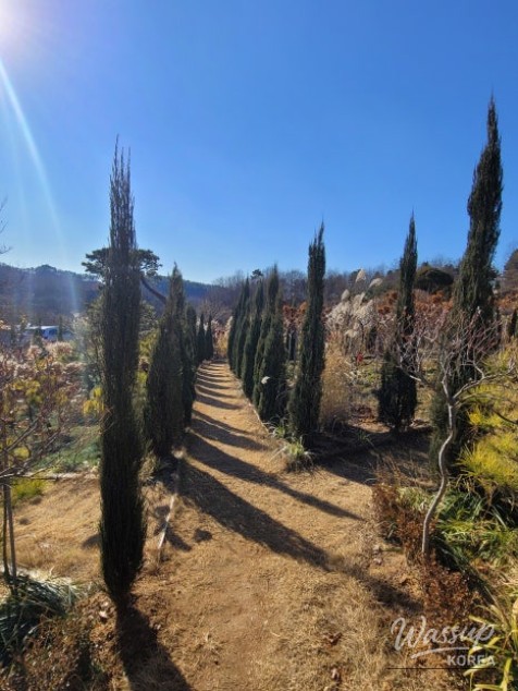 Exploring the Beautiful Forest Garden No. 17_04