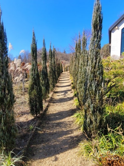 Exploring the Beautiful Forest Garden No. 17_05