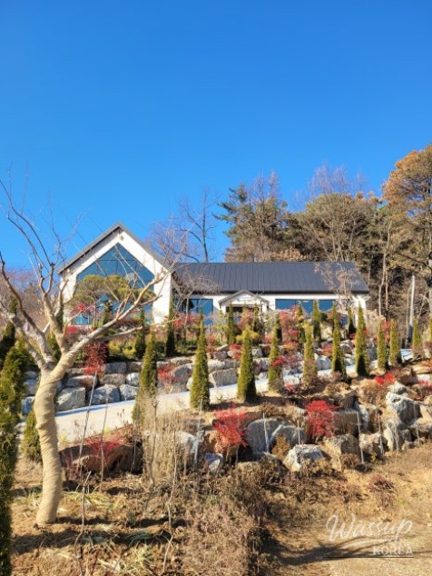 Exploring the Beautiful Forest Garden No. 17_03