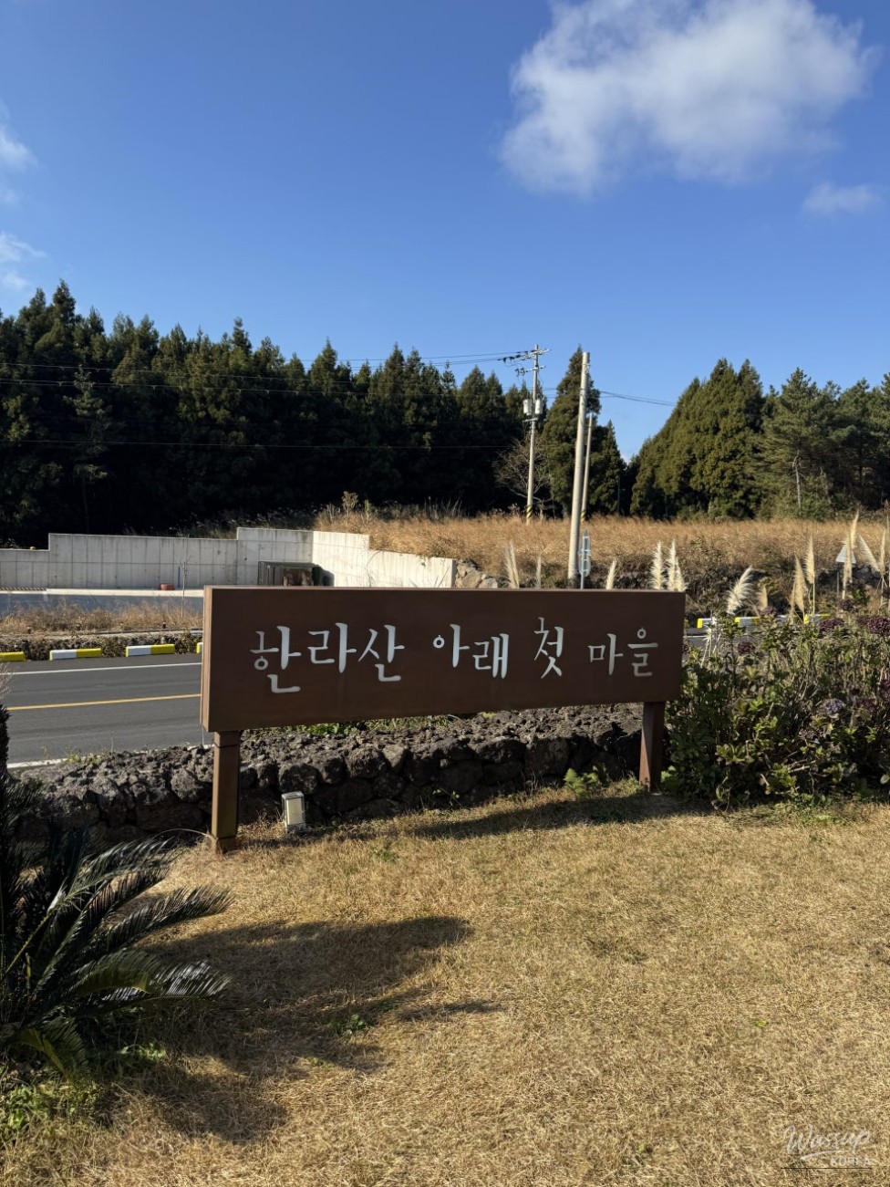 Delicious Buckwheat Restaurant in Jeju Island_05