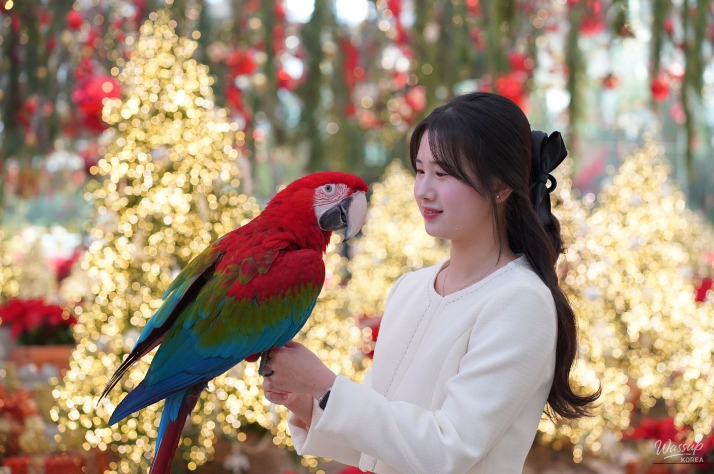Special Winter Trip to Gapyeong: Experience the 2025 Eulji Valley Winter Festival_05