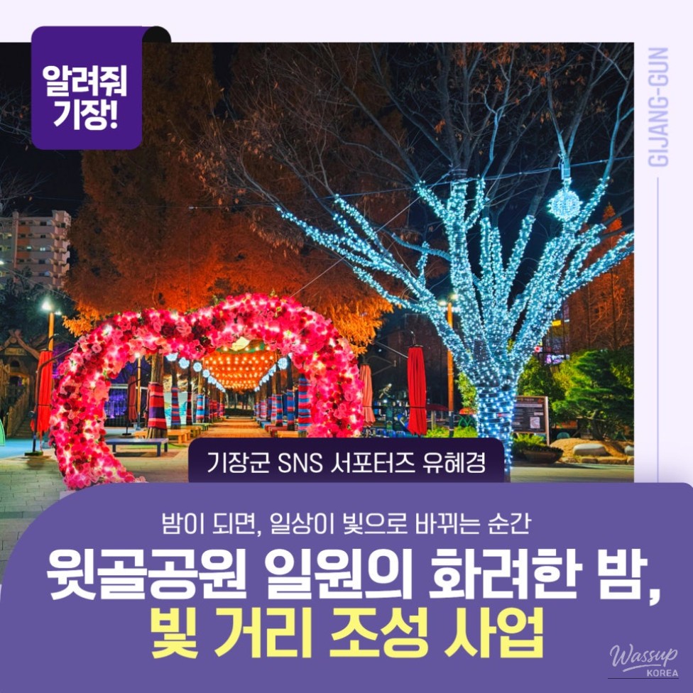 Landscape lighting creating a calm night atmosphere in Witgok Park