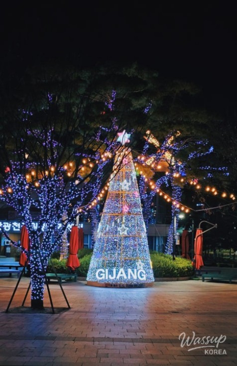 Color-changing rabbit light sculptures in the Rose Park area of Witgok Park