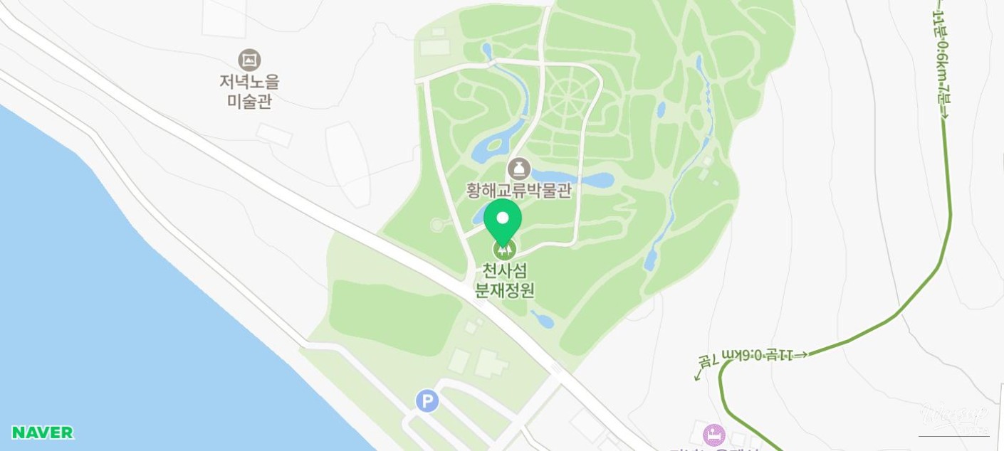 The Winter Flower Festival: A Celebration of 40 Million Camellia Blossoms_06