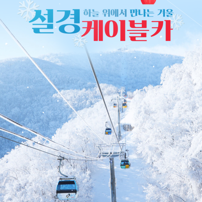 Cable Car Journeys: Embrace the Winter Landscapes_01