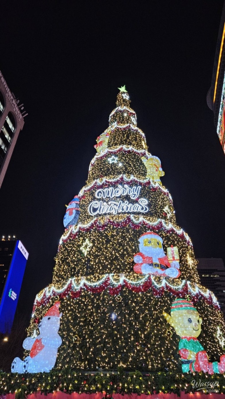 2025 Seoul Cheonggyecheon Lantern Festival Guide_05