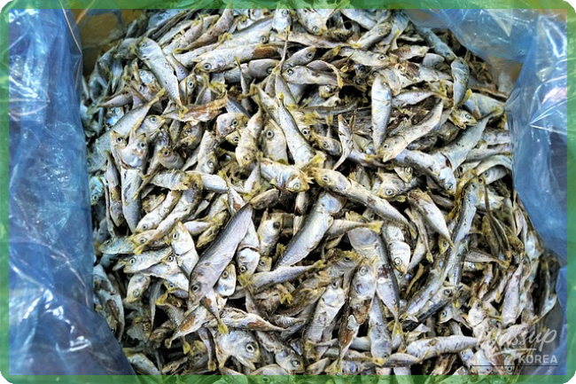 Hidden Charms of Busan_04