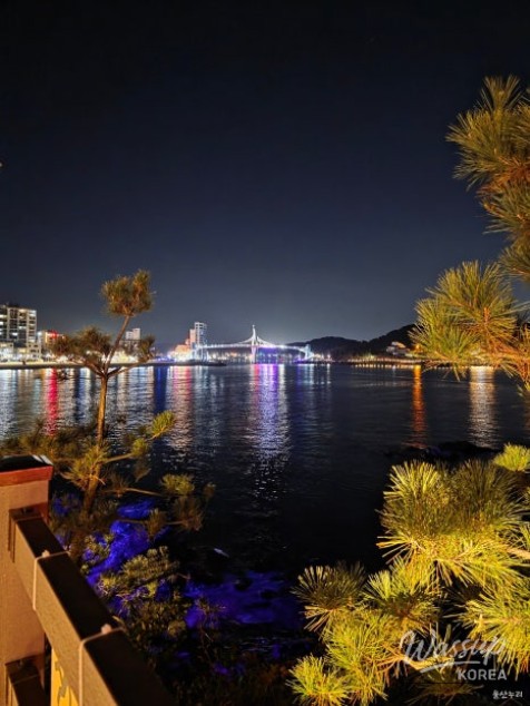 Exploring the Night Views of Myeongseondo Island in Ulsan_11