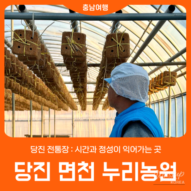 The Story of Nuri Farm's Traditional Fermented Sauces_01