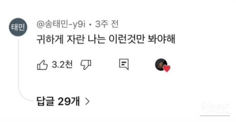 November Reflections in December_01