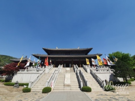 Exploring the Charms of Danyang: A Journey with the Danyang Tour Pass_02