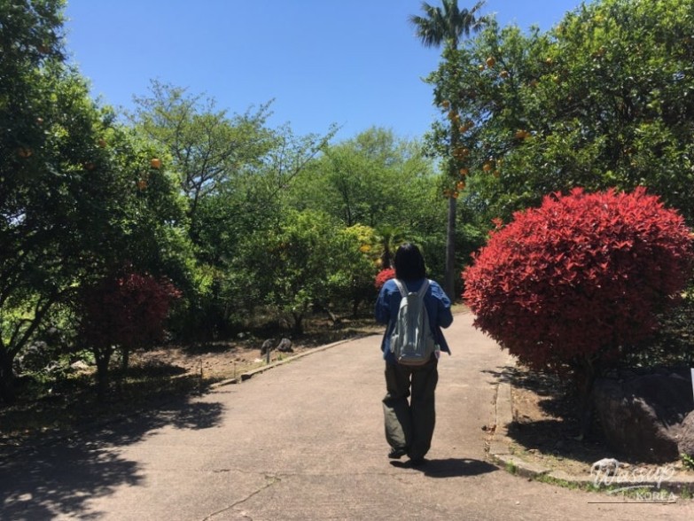 A Memorable Trip to Jeju Island_02