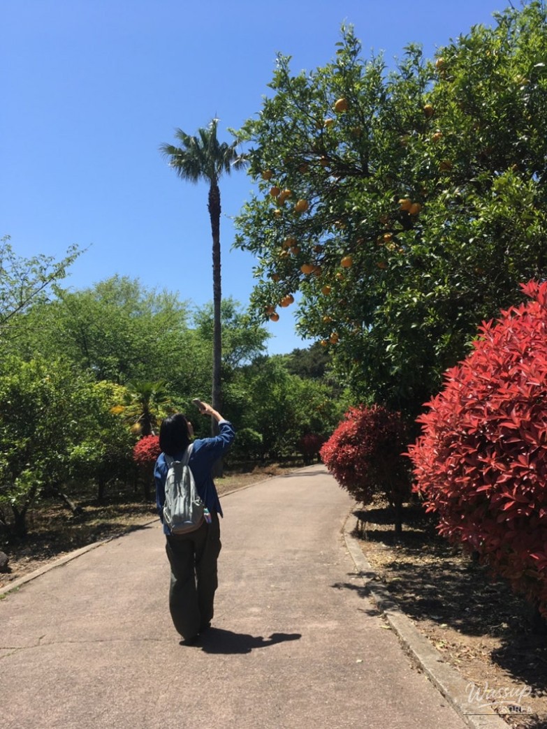 A Memorable Trip to Jeju Island_03