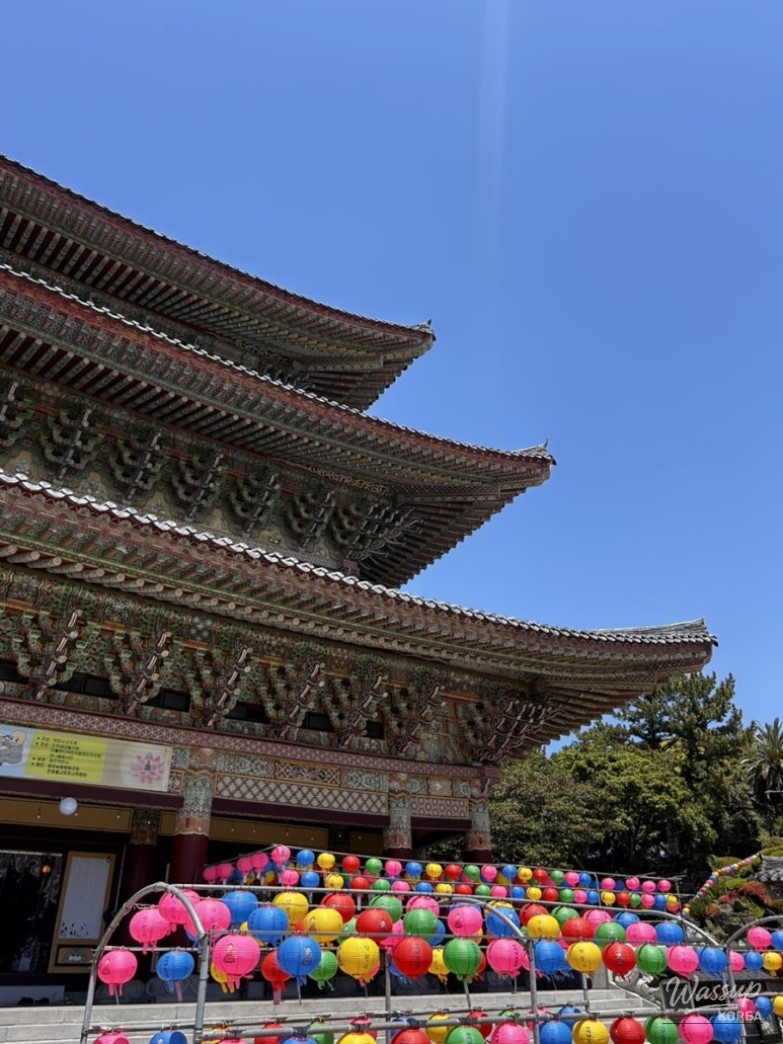 A Memorable Trip to Jeju Island_05