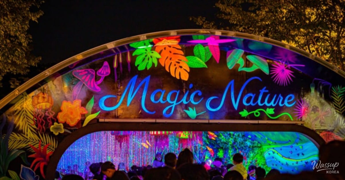 A Magical Night at Oworld Night Universe_01