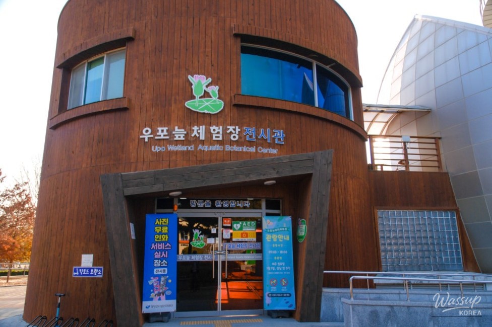 Aquarium display featuring native wetland species at Upo Wetland Experience Center