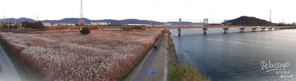 Late autumn scenery at the estuary of Ulsan Taehwa River National Garden