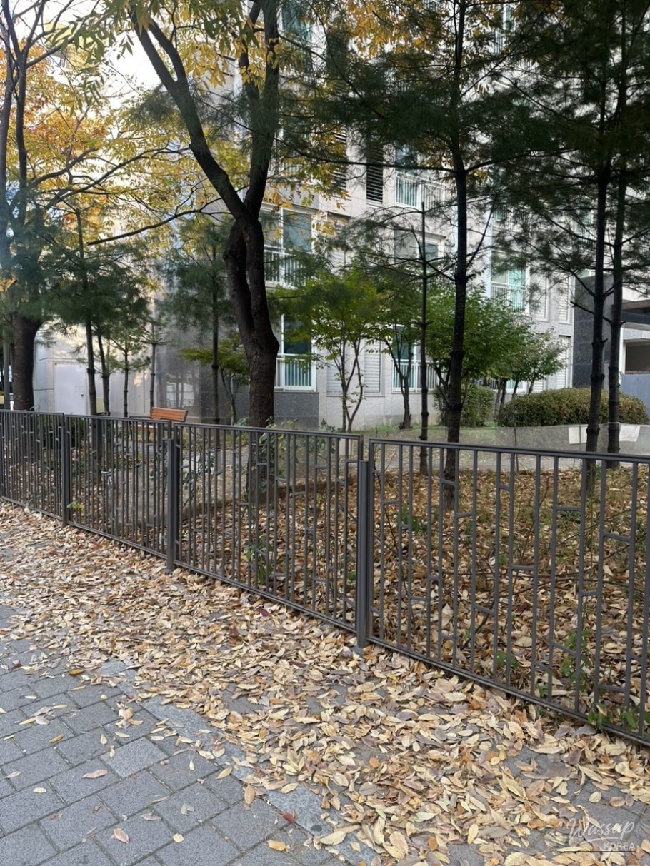 November: A Blend of Autumn and Winter_02