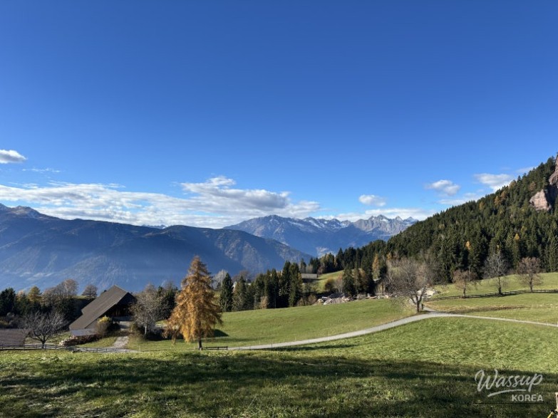 A Journey to Meran: Discovering Beauty and Friendship_06