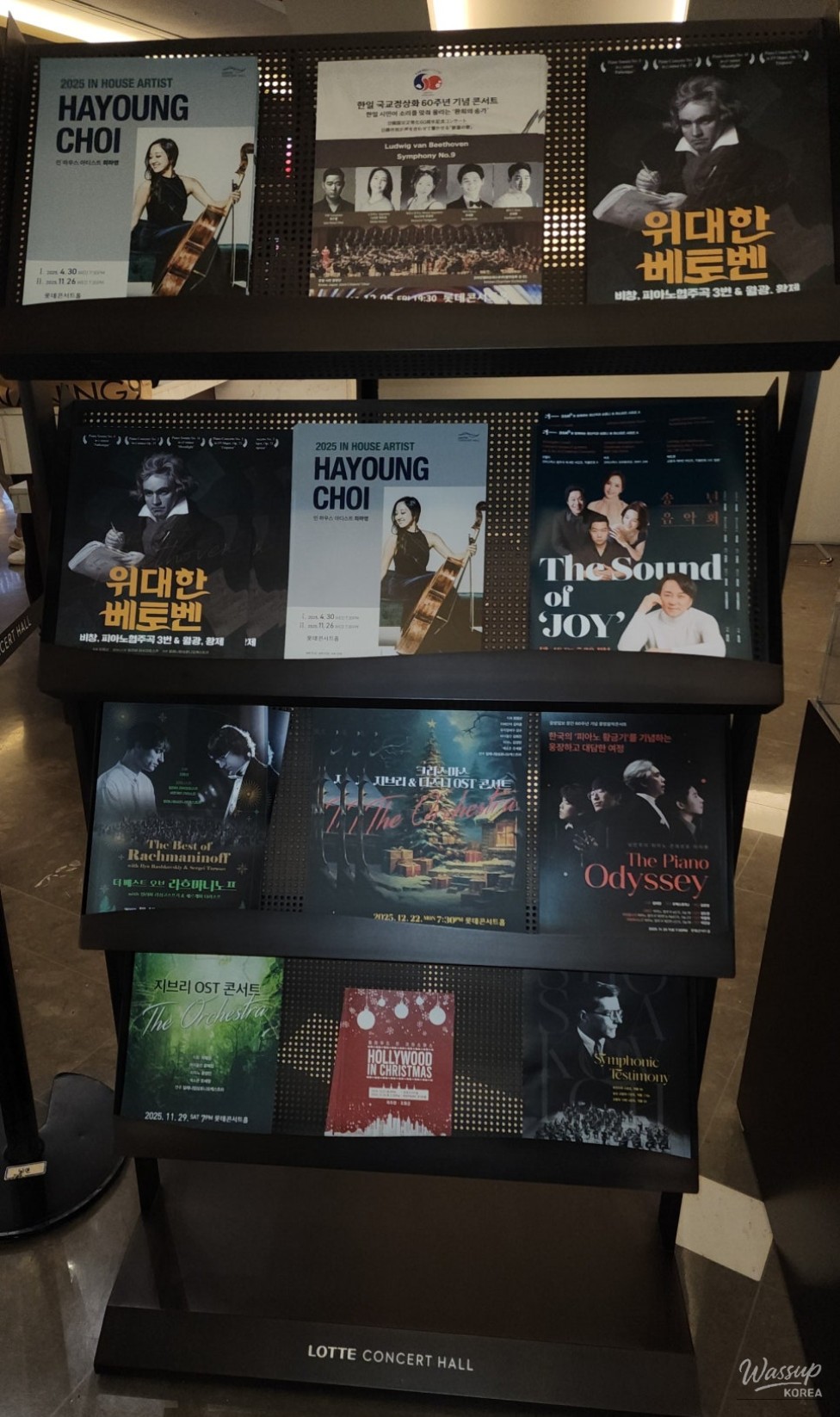 Vietnamese meal enjoyed at Lotte World Mall before the concert