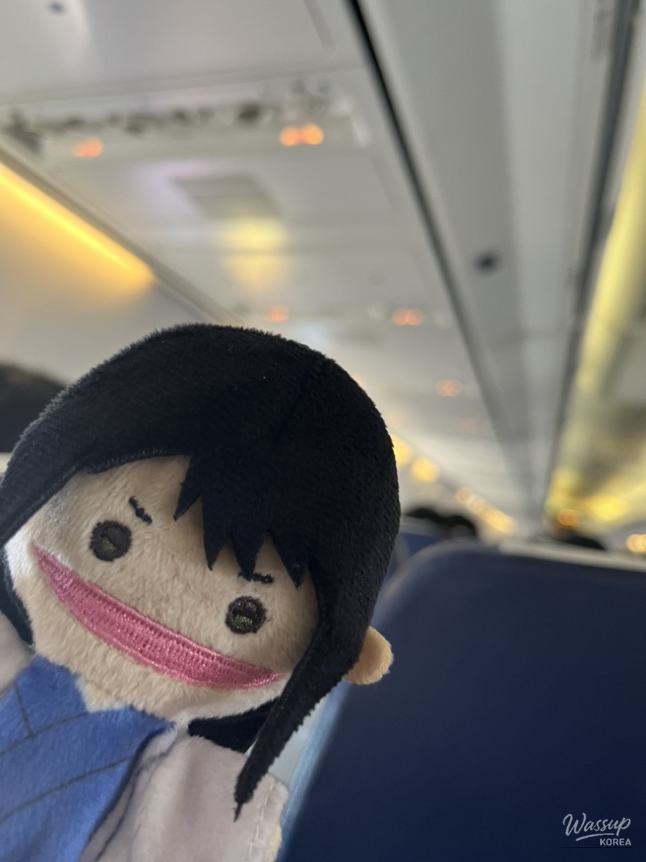 A beautiful view of a local Japanese train arriving at a station during winter