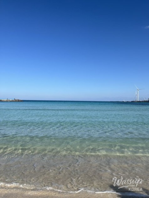 A delicious spread of fresh sushi from Kurazushi in Ikebukuro