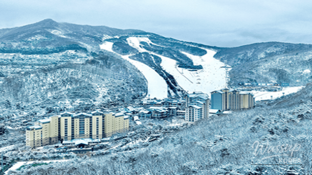 Top 4 Family Travel Destinations in December_02